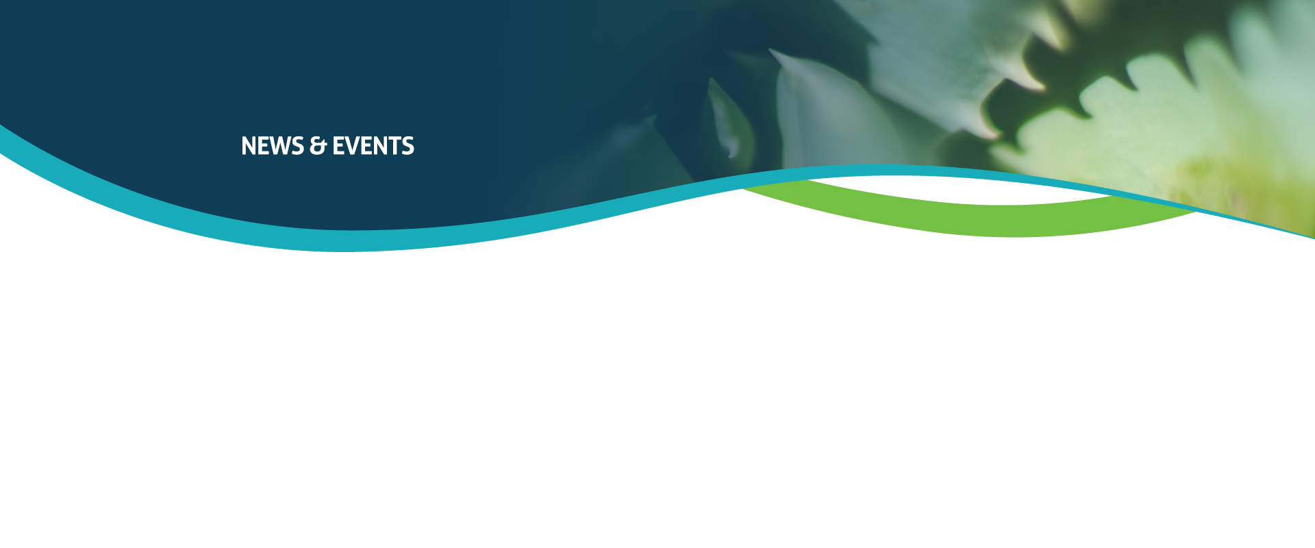 Dogger Bank Wind Farm Tier 1 Contractor Webinar Abb Nof Energy Subsea Uk Aberdeen Scotland